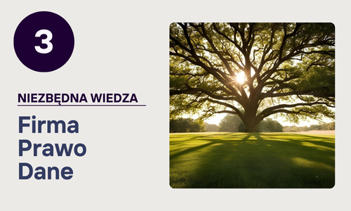 3. Wiedza o firmie Stratton Prime